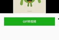 gif转视频,瞬间变永恒，捕捉动态之美